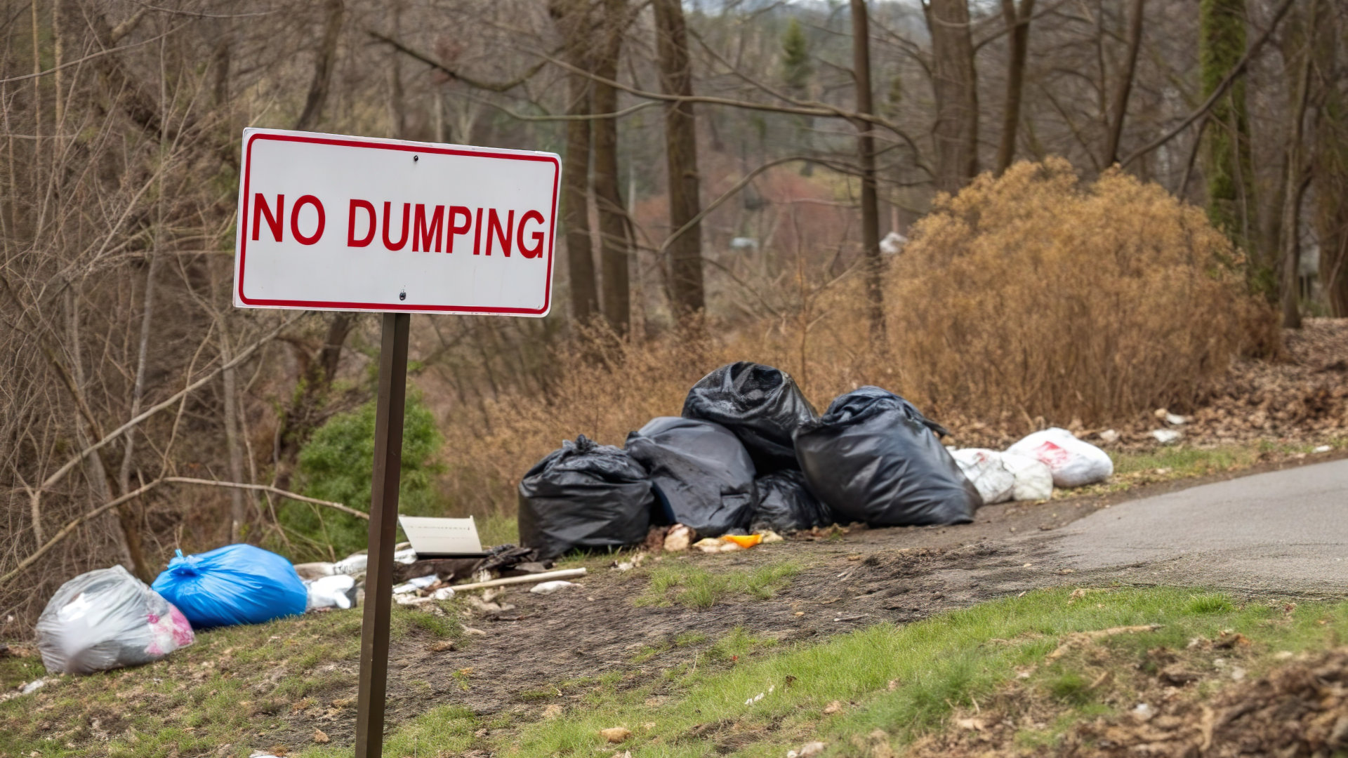 No Dumping
